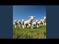 Dancing in the sun