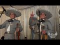 mariachi alas de méxico guadalajara