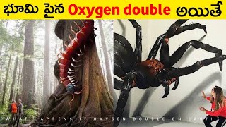 భూమి పైన ఆక్సిజన్ రెట్టింపు అయితే? 😲 | what happens if oxygen double on earth 🌎?