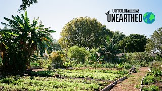 Untold Stories Unearthed