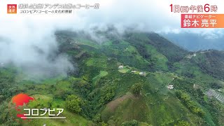 『世界遺産』9/1(日) コロンビアのコーヒーの文化的景観 〜 傾斜40度！アンデス山脈のコーヒー畑【TBS】