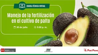 Manejo de la Fertilización del Cultivo de Palto