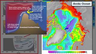 Thermohaline Currents