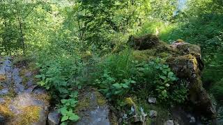 Hiking up Rimstigen trail Norway