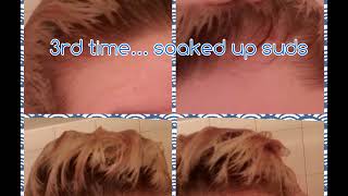 Vlog 2: First Impression of Monat's Intense Repair Shampoo \u0026 Conditioner