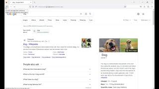 CS50: Web Programming with javascript and python Project 0:search demonstration video