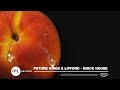 Future Kings & Lifford - Brick House (Official Audio)