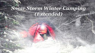 Winter Camping in a Snow Storm, Extreme Solo Tent in the North, Blizzard, Heavy Snowfall (Extended)