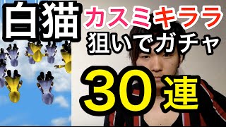 白猫 フォースター☆プロジェクト11th ガチャ 30連