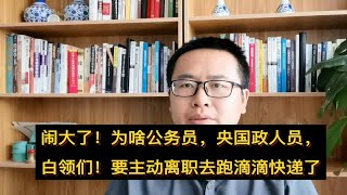 闹大了！为什么白领们，公务员都要离职跑滴滴跑快递？