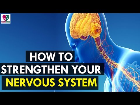 How to Strengthen Your Nervous System - Health Sutra How to Strengthen Your Nervous System - Health Sutra