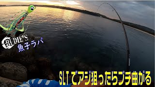 SLT（スーパーライトタイラバ）魚子ラバでプチデイアジング！いきなり走り出して…