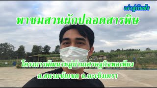 ผักปลอดสารพิษ100%ทำได้จริง | ชุมชนพัฒนาหมู่บ้านเศรษฐกิจพอเพียง | สวนผักผสมผสาน จ.ฉะเชิงเทรา