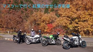 HONDA X4 久しぶりのマスツーで行く　紅葉のせせらぎ街道（後編）