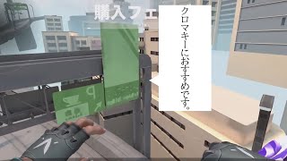 【VALORANT】誰でもクロマキー素材を入手する方法