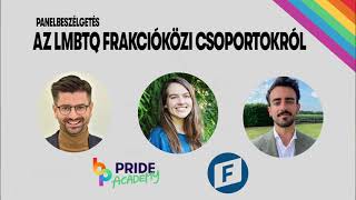 Hogyan tudnak politikusok együtt dolgozni az LMBTQ emberekért? -Discussion on LGBTQ Intergroups (EN)