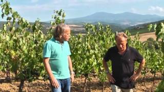 JAMESSUCKLING.COM - Brunello di Montalcino - Renieri - The Vineyard