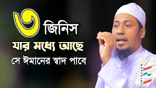 ৩ জিনিস যার মধ্যে আছে সে ঈমানের স্বাদ পাবে | আনিসুর রহমান আশরাফী ওয়াজ | anisur rahman ashrafi waz