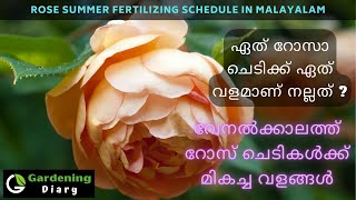 വേനൽക്കാലത്ത് റോസ് ചെടികൾക്ക് മികച്ച വളങ്ങൾ - ഏത് റോസാ ചെടിക്ക് ഏത് വളമാണ് നല്ലത്?