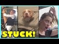 STUCK! OMGawk Viral Video Compilation