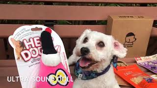 Unboxing St.Bark gift box in the dog park!