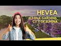 PROPERTY REVIEW #6: Hevea @ Elmina Gardens, City of Elmina, Shah Alam