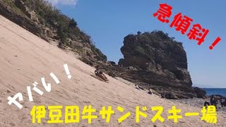 伊豆田牛サンドスキー場