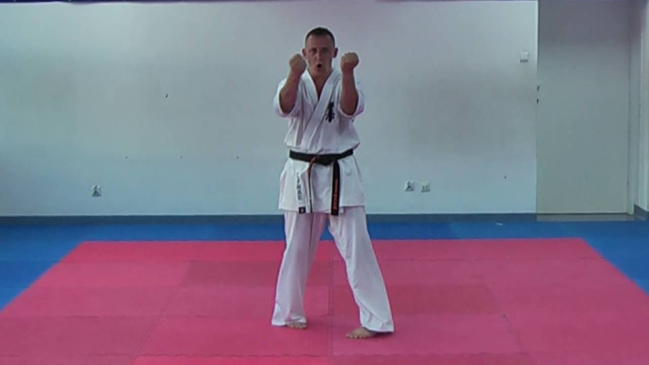 Sanchin Kata Kyokushin Kata Sanchin Pdf