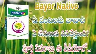 bayer nativo full details in telugu | bayer nativo using in telugu | nativo full details in telugu