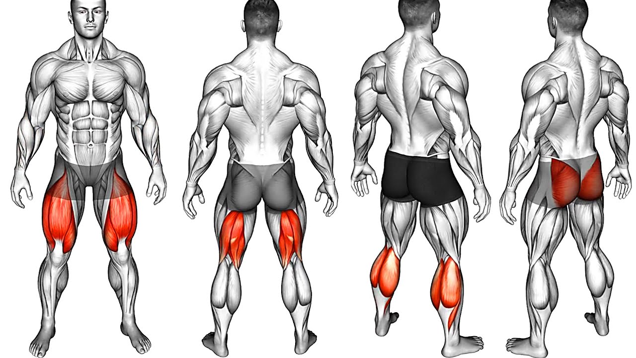 Quadriceps And Hamstrings Acute Effects Of Two Different Stretching