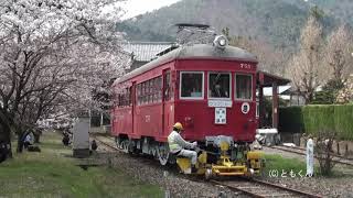 春の谷汲駅2021・桜のライトアップ　2021/03/27～04/04