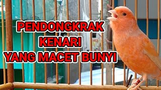 SUARA KENARI GACOR PENDONGKRAK KENARI MACET BUNYI - pancingan kenari macet dan malas bunyi