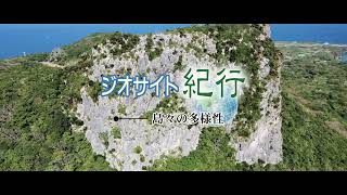 ジオサイト紀行 島々の多様性（１）辺戸岬　本州から続く地質構造