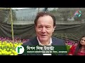 টিউলিপ চাষে উচ্চ আয়ের হাতছানি tulip kaliganj news risingbd