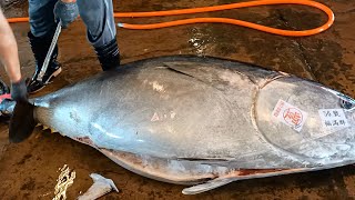 Over 400 kg Bluefin Tuna Superb and Fabulous Cutting Skills