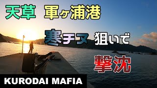 【天草】軍ヶ浦港 『寒チヌ』を狙いに行ったらあれ１匹でした...。