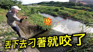 無意間去市區排水池釣魚，軟蟲丟下去通通咬走！影片後面還教你如何找釣點 赫馬士～How to use google map to find fishing spots.