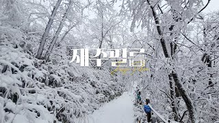 [SUB] The Winter of Songnisan, filled with fog and snow