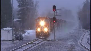 Two Manifests, a Grain Train, and a Bald Eagle in a Snowstorm