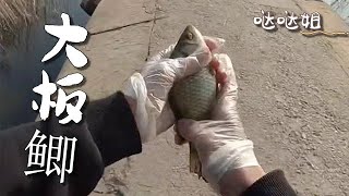 【噠噠姐釣魚】今兒這魚貨算是巨物了吧！天賦這塊兒拿捏的 #钓鱼 #机车  #机车女孩 #空军 #户外 #骑行 #野钓