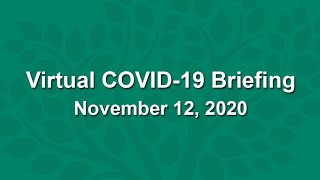 Virtual COVID-19 Briefing - November 12, 2020