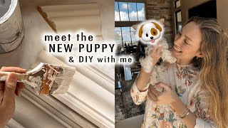 meet the new puppy & DIY with me! | XO, MaCenna Vlogs
