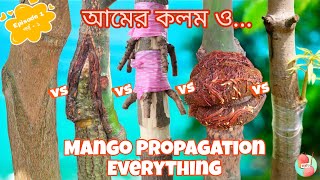 Mango Grafting - Explained Everything | Episode - 1