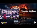 Zither Harmony - Tiwoimba Hallelujah