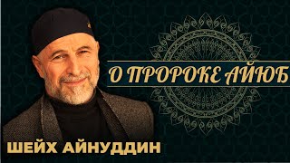 Урок №26 / ШЕЙХ АЙНУДДИН / О ПРОРОКЕ АЙЮБ /