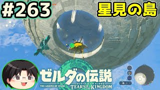 【実況】天空の城ハイラル！ゼルダの伝説TotKをツッコミ実況Part263