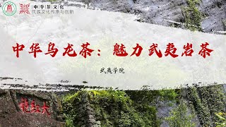 47 （石玉涛）1117 武夷岩茶的深加工与综合利用（二）