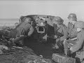 5cm Pak 38 anti-tank gun engages a Soviet vessel on the Eastern Front in the Summer of 1941