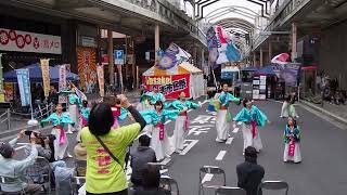 YOSAKOIぶち楽市民祭2024・チーム蕾-tsubomi-（みずほ銀行前会場）