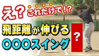 【少年野球】バッテイング練習　ヘッドが走るコツ　強打のバット軌道ドリル　解説　萩原誠